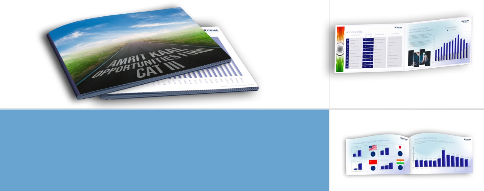 Campaign Design Portfolio Image